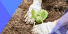 Het bodemdecreet: belangrijke inzichten voor bodembeheer