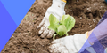 Het bodemdecreet: belangrijke inzichten voor bodembeheer